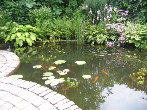 natuurlijke_vijver_project_venlo_2_20150919_1488143931